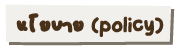 นโยบาย (policy)