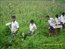 activity01_13