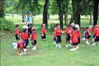 activity08_11