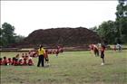 activity08_12