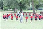activity08_41
