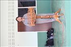 activity22_42