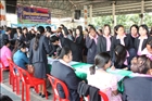 activity29_012