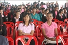 activity29_027