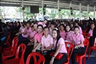 activity29_039