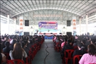 activity29_053