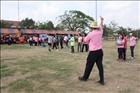 activity29_163