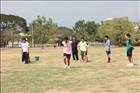 activity29_166
