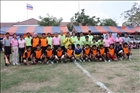 activity29_171