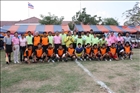 activity29_172