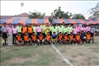 activity29_173