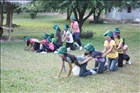 activity31_021
