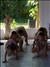 activity02_029
