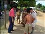 activity02_047