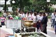 activity27_003
