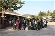 activity29_001