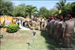 activity29_021