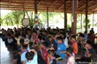 activity29_031