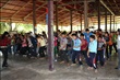 activity29_033