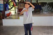 activity29_041