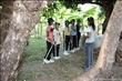 activity29_046