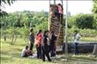 activity29_047