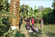 activity29_048