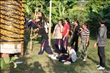 activity29_049
