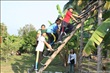 activity29_050