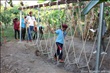 activity29_051