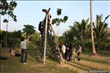 activity29_053