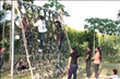activity29_054
