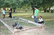 activity29_059