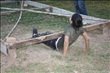 activity29_060