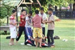 activity29_124