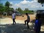 activity03_038