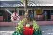 activity33_013