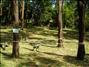 activity04_001