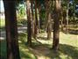 activity04_002