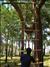 activity04_004