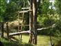 activity04_007