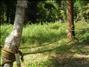activity04_016