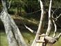 activity04_018