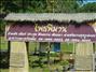 activity04_028